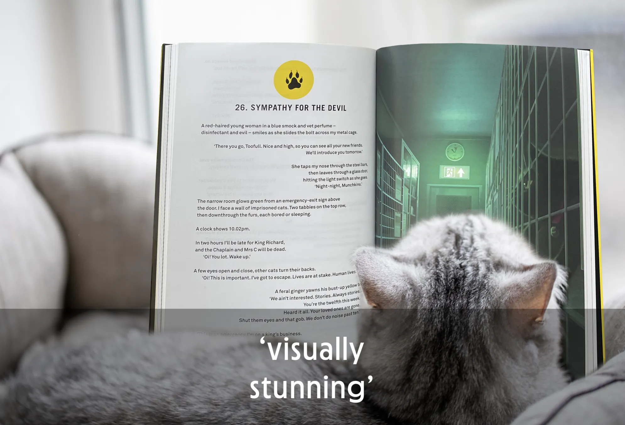 Cat reading a book with a chapter titled 'Sympathy for the Devil.'
