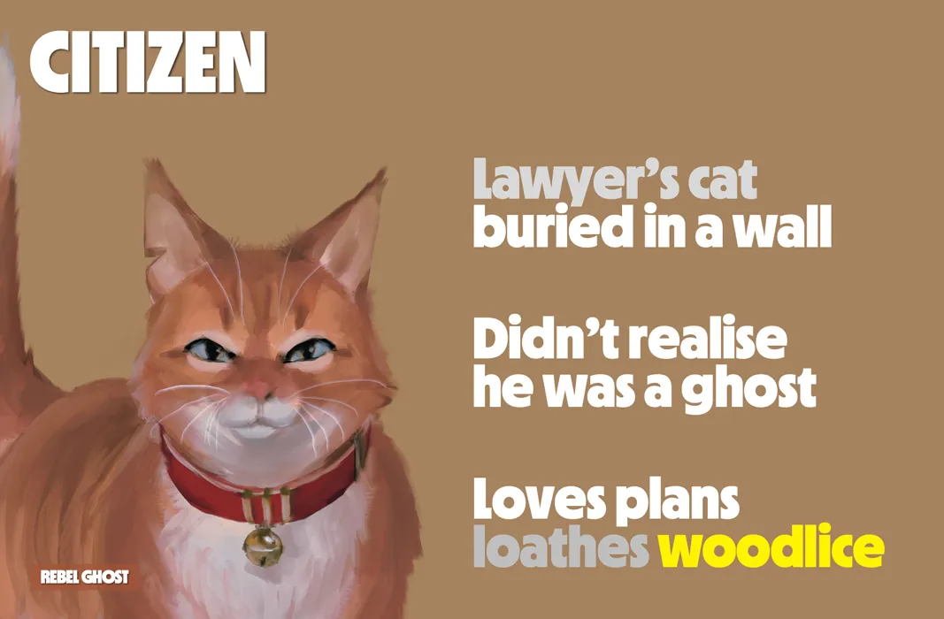 Illustration of a cat with text about being a ghost and disliking woodlice.