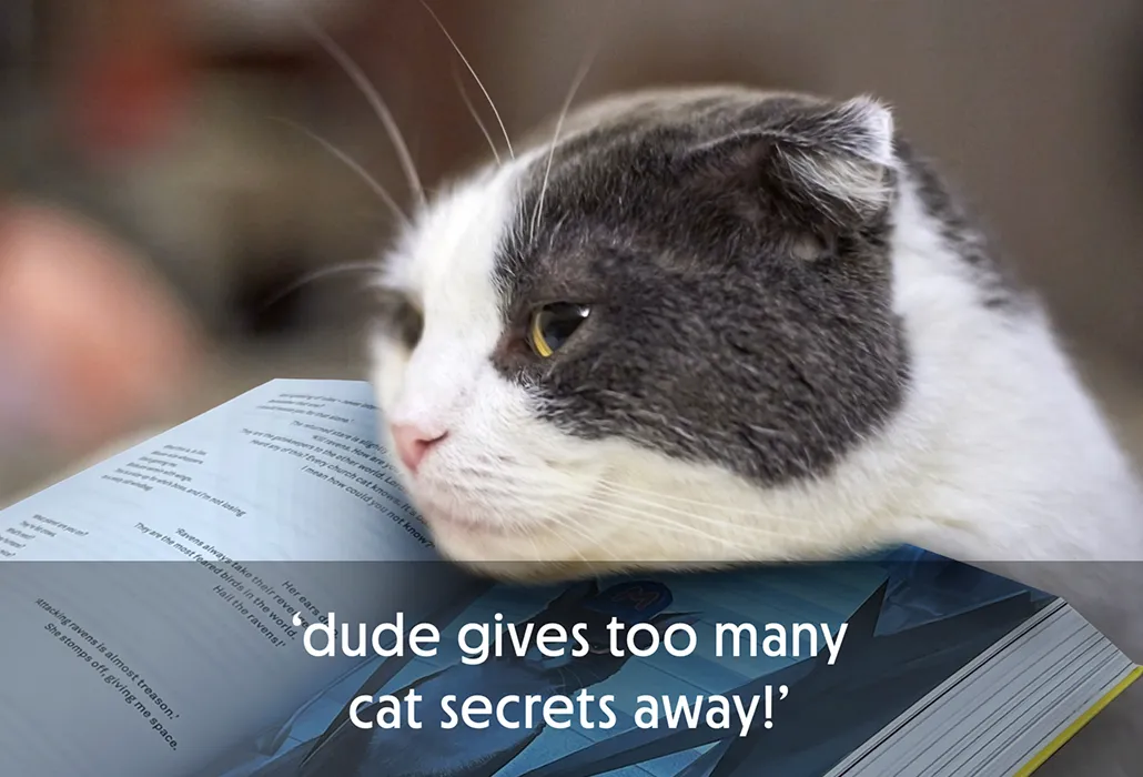 Cat resting head on Thunderpaws with the quote “dude gives too many cat secrets away!”