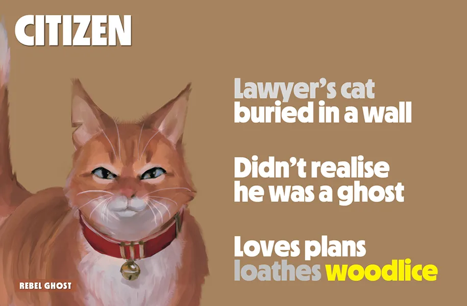 Illustration of a cat with humorous text about being a ghost.