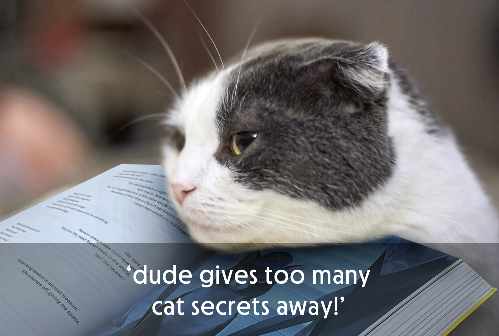 Cat resting head on open book with humorous text overlay.