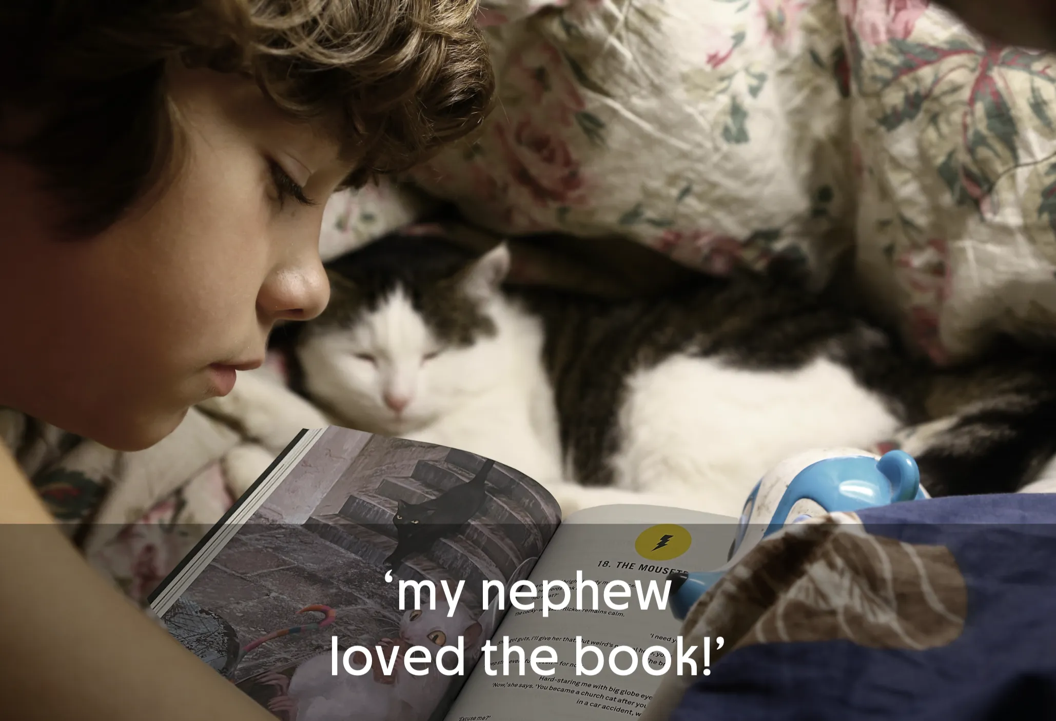 Child reading a book next to a sleeping cat on a floral blanket.