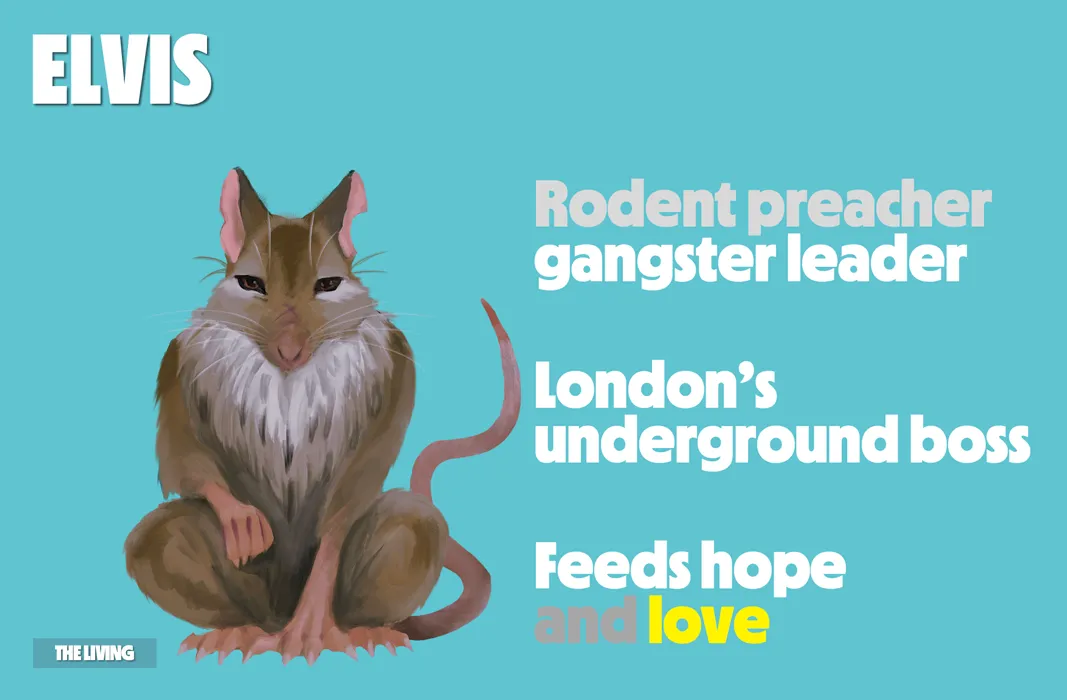 Illustration of a rodent with text about being a preacher and gangster leader.