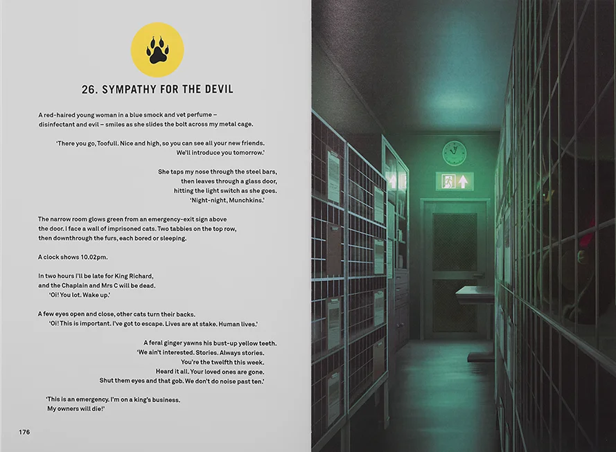 A page spread from the book, showing the text page design on the left, and a full page image on the right of a cat in cage at night at a vets