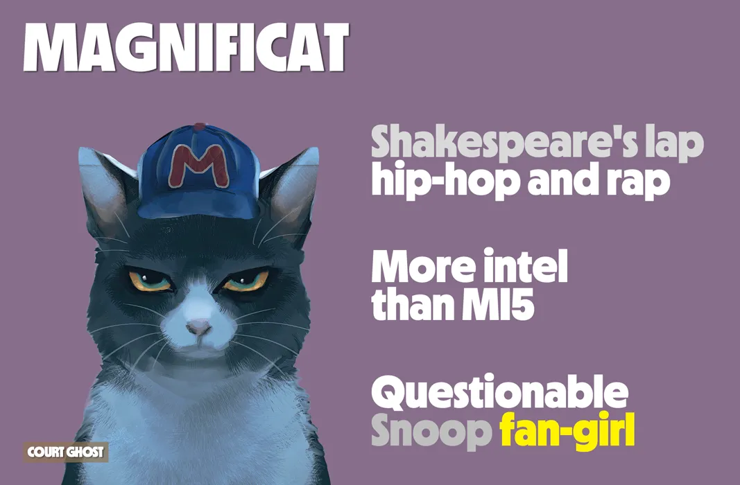 Illustration of a cat wearing a cap with text about hip-hop and intelligence.
