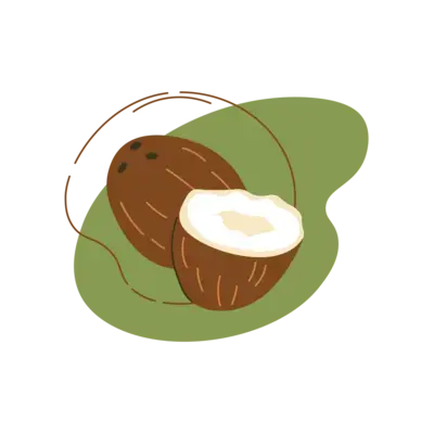 Illustration of a whole and a halved coconut on a green background.