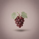 Resveratrol