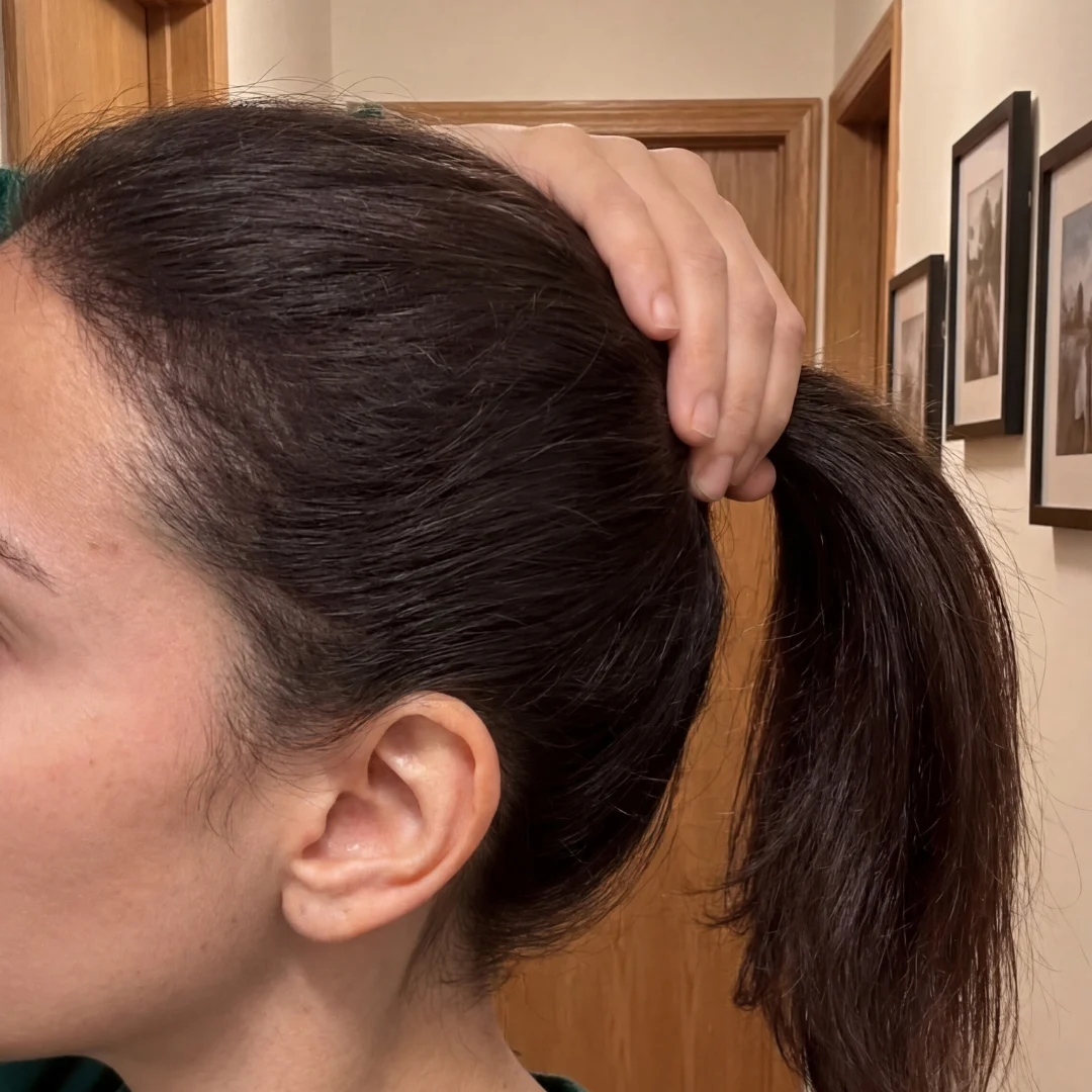 Ponytail after