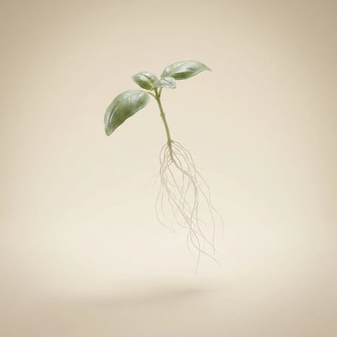 RootBioTec