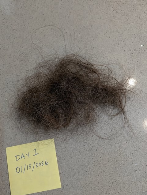 Wash-day shed, day 1