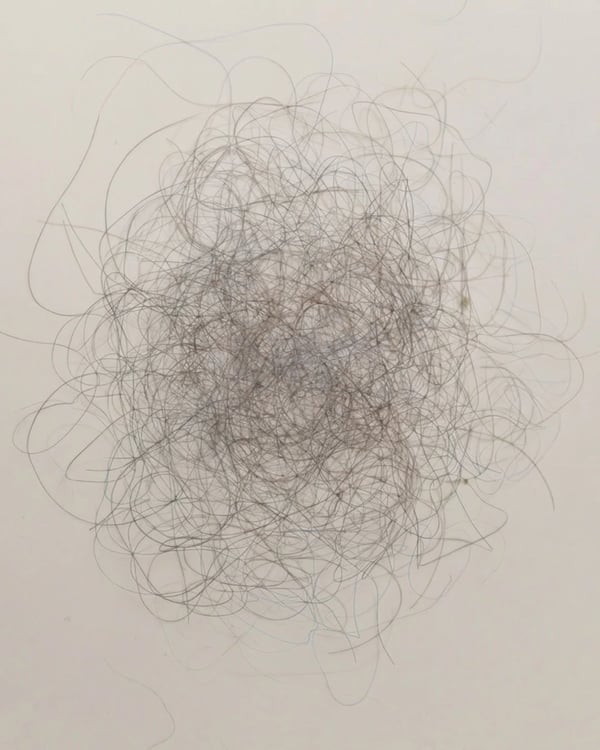 Hair in the brush before