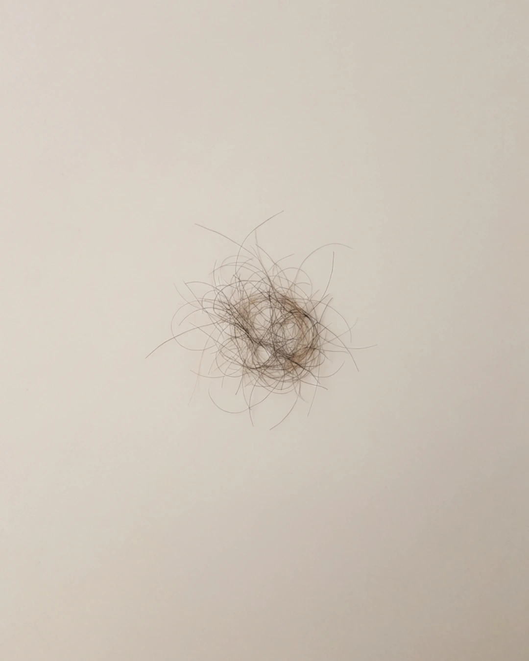 Hair collected at week 6