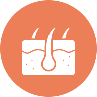 An icon showing a cross-section of skin with hair follicles, inside a salmon-colored circle.