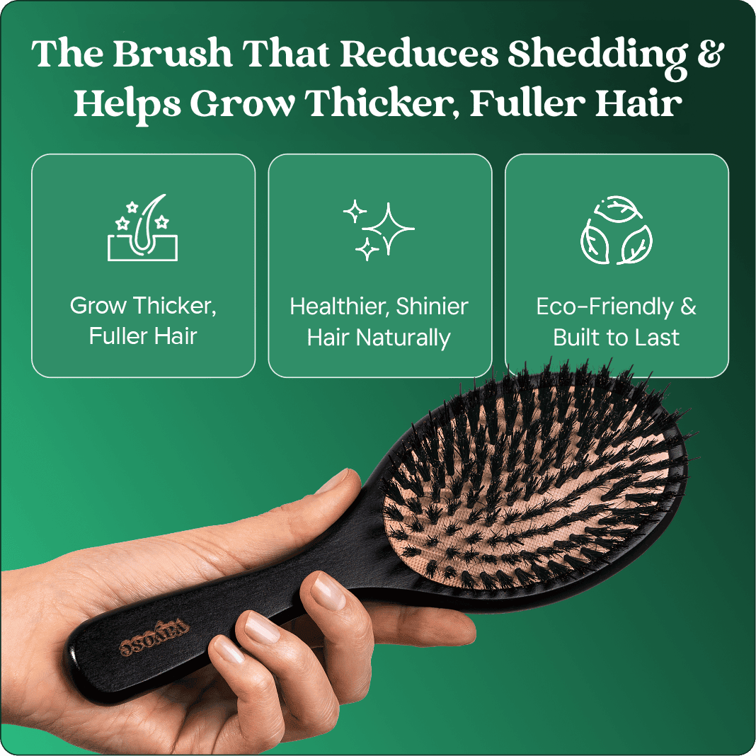 No Shedding Hair Brush