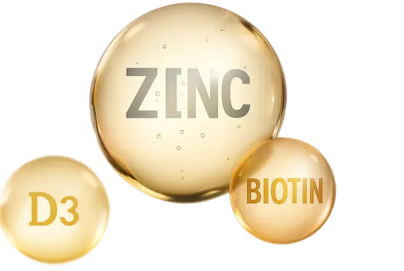 Three golden spheres labeled Zinc, D3, and Biotin.