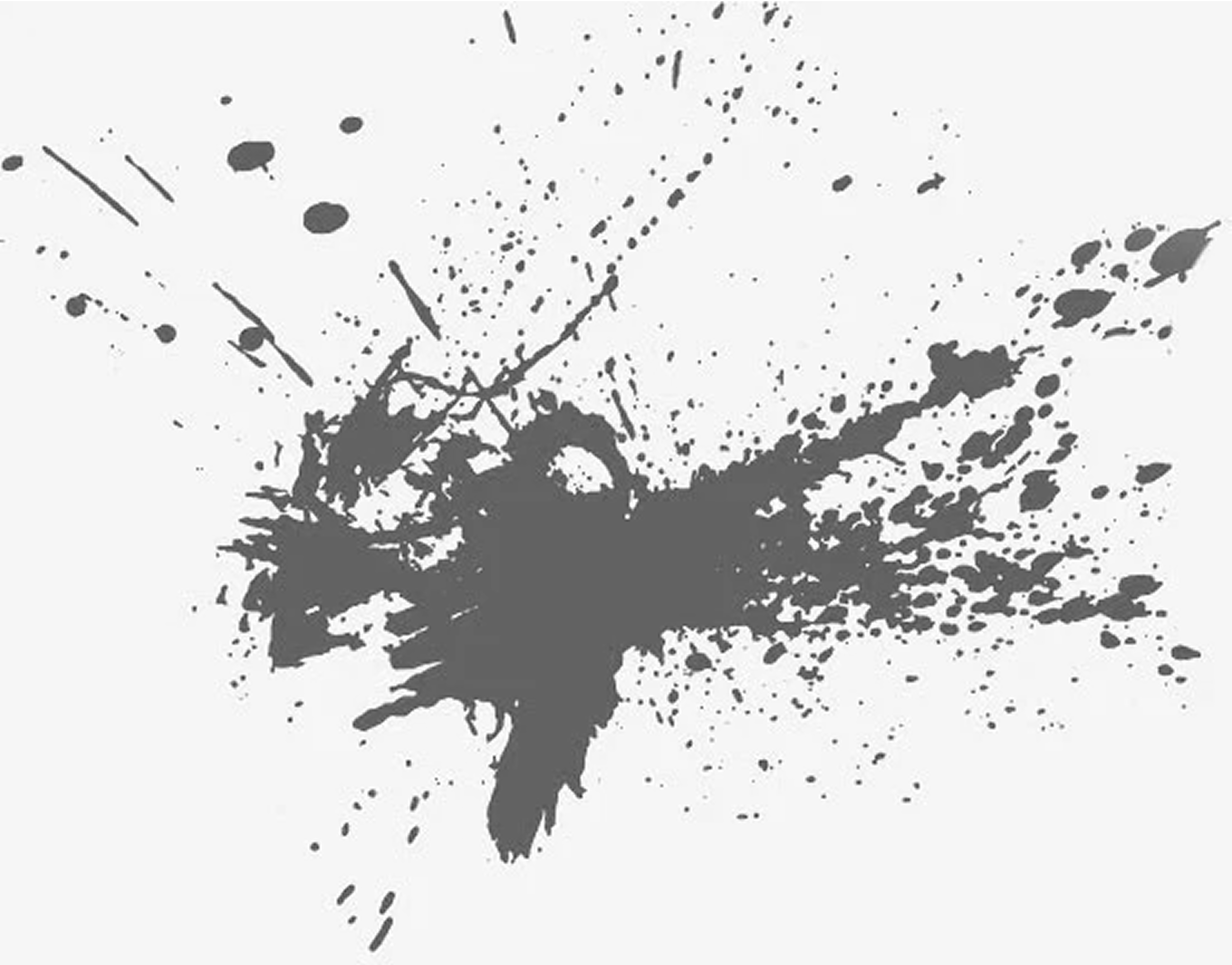Abstract black ink splatter on a white background.