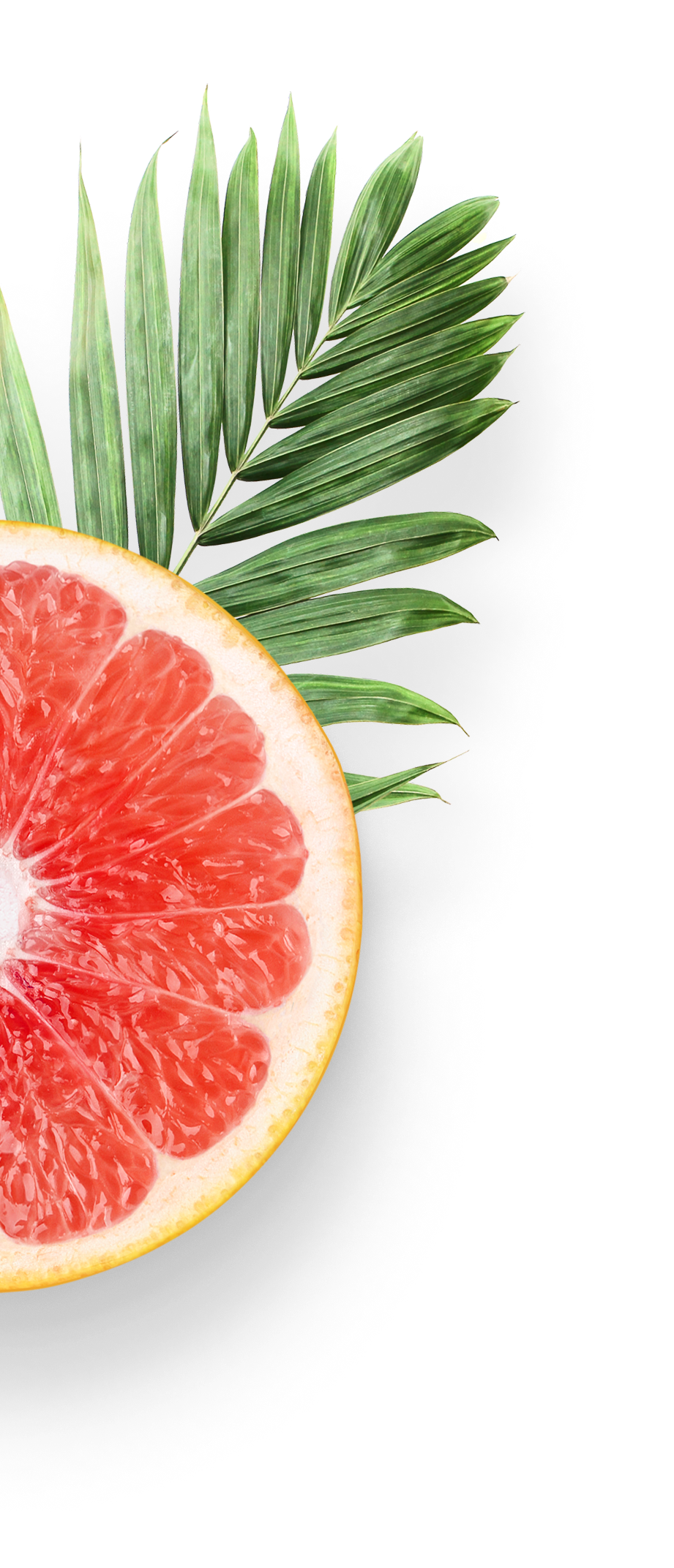 Half of a grapefruit with green palm leaves in the background.