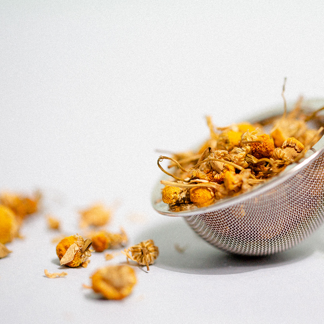 Dried chamomile flowers in a metal tea infuser on a white background.