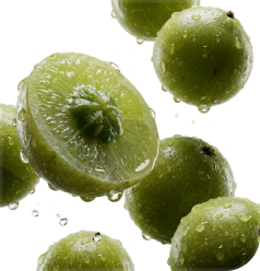 A close-up of several wet, green Indian gooseberries, one sliced in half, against a white background.