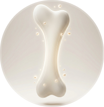 A stylized illustration of a single glowing bone inside a circle.
