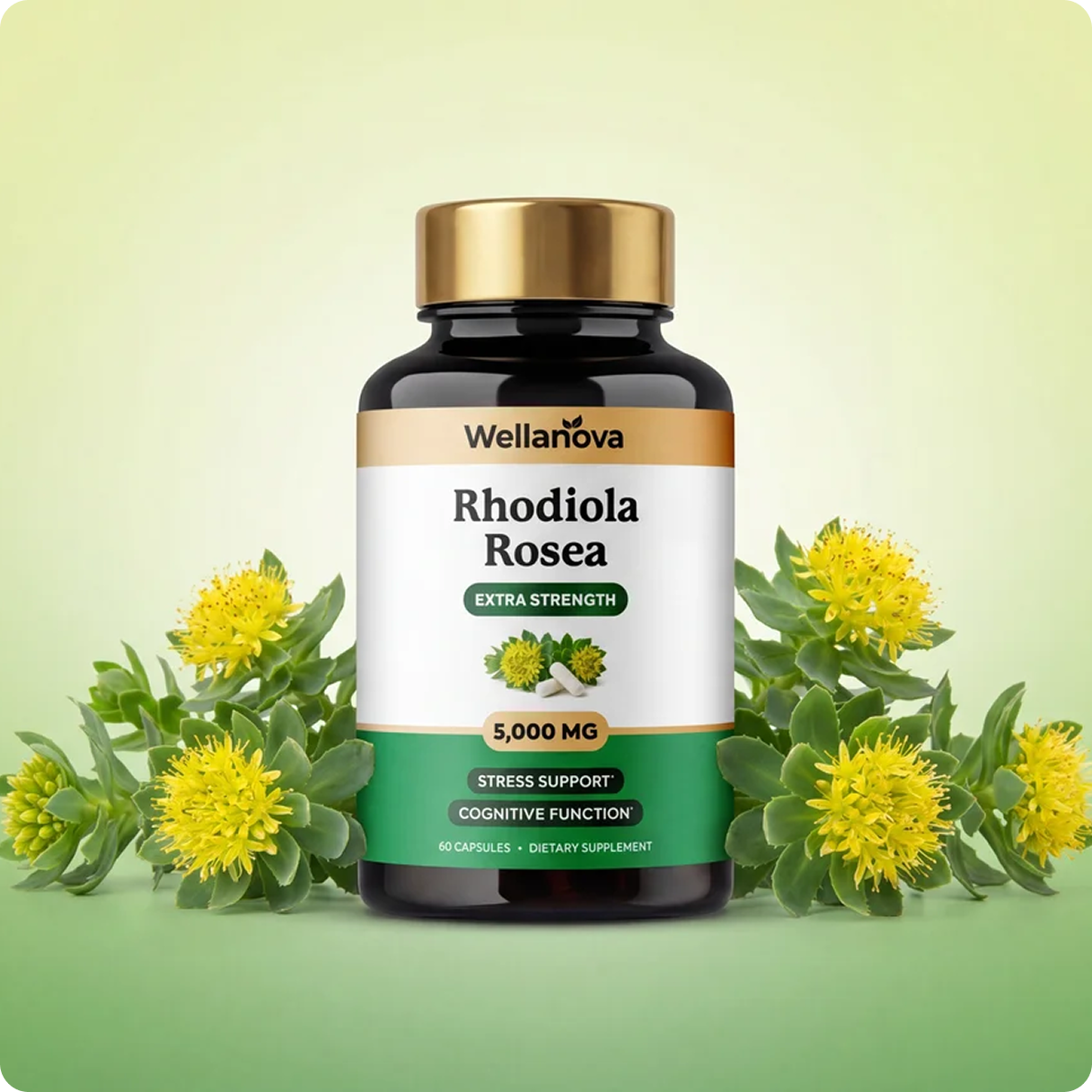 A bottle of Wellanova Rhodiola Rosea supplements surrounded by the yellow flowers of the Rhodiola Rosea plant.
