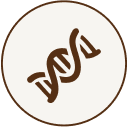 A circular brown icon with a white lightning bolt in the center.