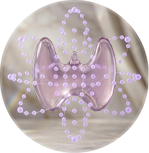A stylized, translucent purple rendering of a thyroid gland overlaid with a molecular network.