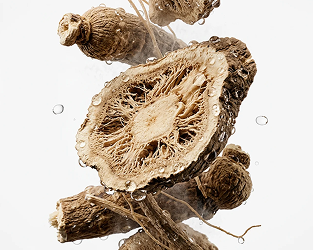 A close-up of a sliced root and other root pieces suspended with water droplets against a white background.