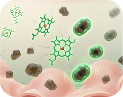 A scientific illustration of green molecules interacting with cells and irregular brown masses.