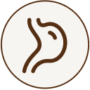 A brown icon of a DNA double helix strand inside a circle.