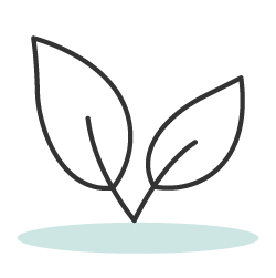 Simple line drawing of two leaves above a blue oval.