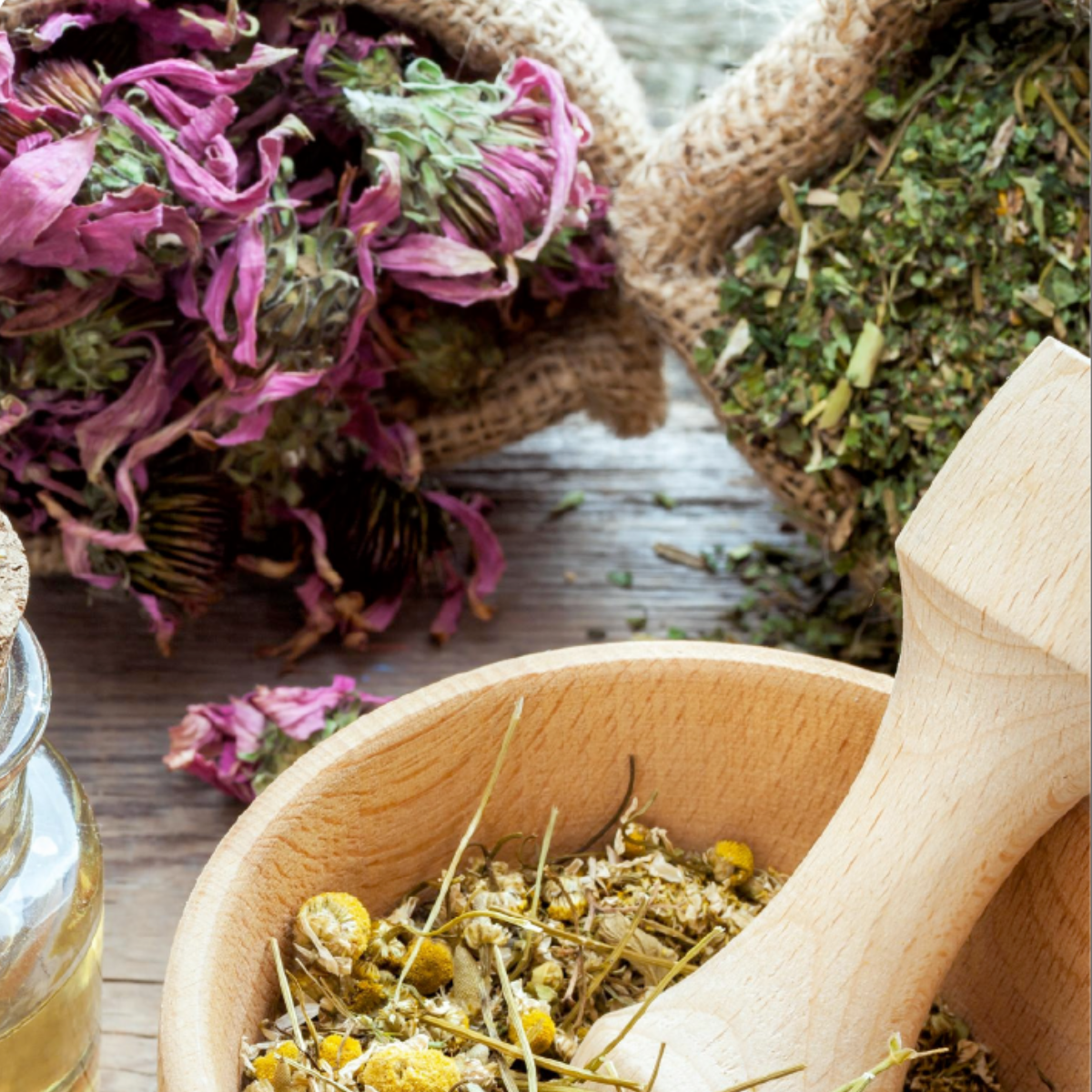 Dried herbs and flowers in wooden bowls and burlap sacks.