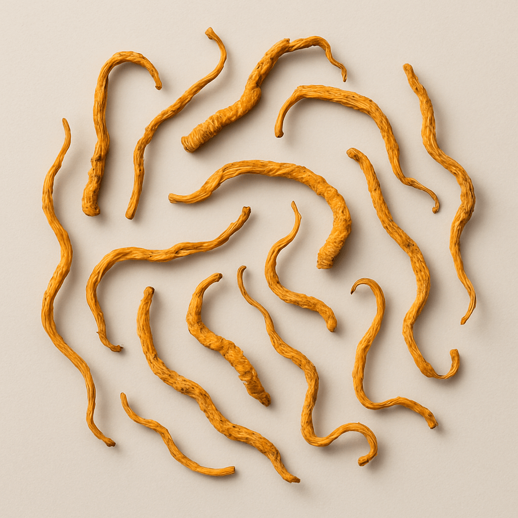 Curled, orange, dried objects arranged on a light surface.