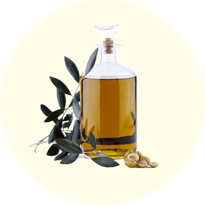Glass bottle of olive oil with olive branch and sliced olives.