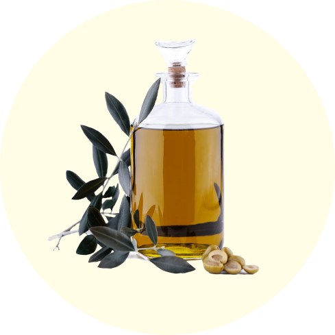Glass bottle of olive oil with olive branches and sliced olives.