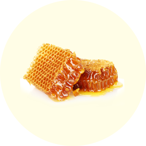 Two pieces of honeycomb dripping with honey on a white background.