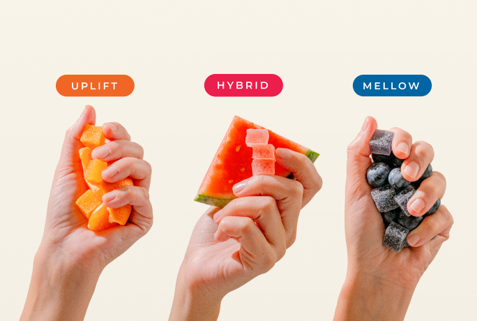 Three hands holding different fruits labeled Uplift, Hybrid, and Mellow.