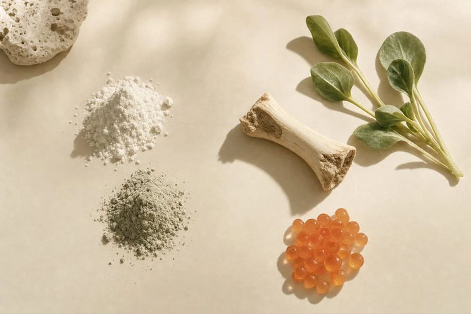 An overhead view of powders, a bone, orange beads, and green sprigs on a neutral surface.