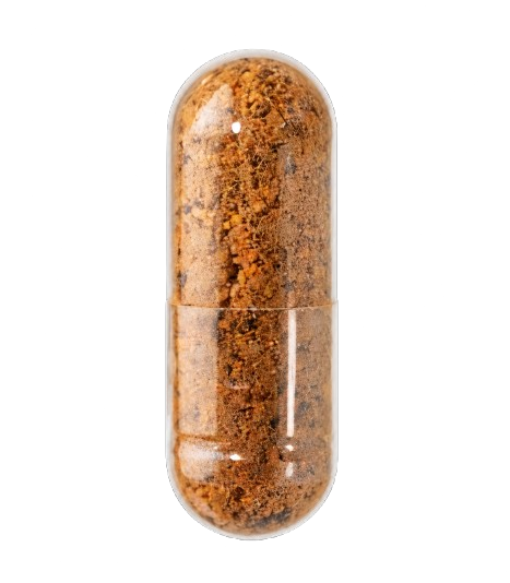 A close-up of a clear capsule filled with a brown, speckled, granular powder against a white background.