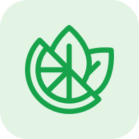 A green line art icon of a citrus slice and leaves on a light green background.
