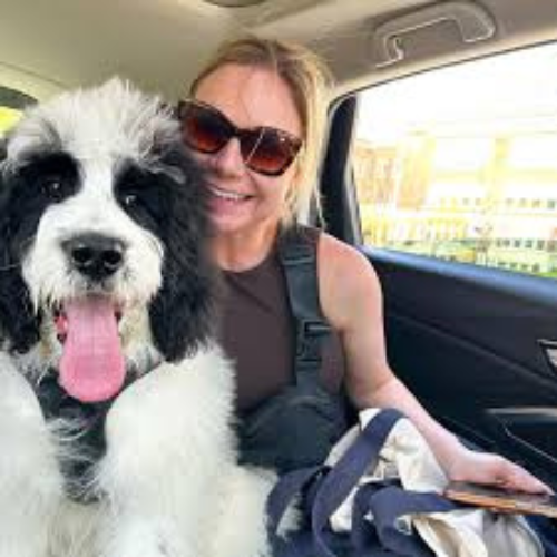 Woman in car with a black and white dog.