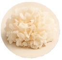 A close-up of a white snow fungus mushroom in a circular frame.