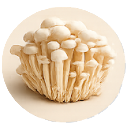 A cluster of small, white, long-stemmed mushrooms, viewed in a circular frame against a cream background.