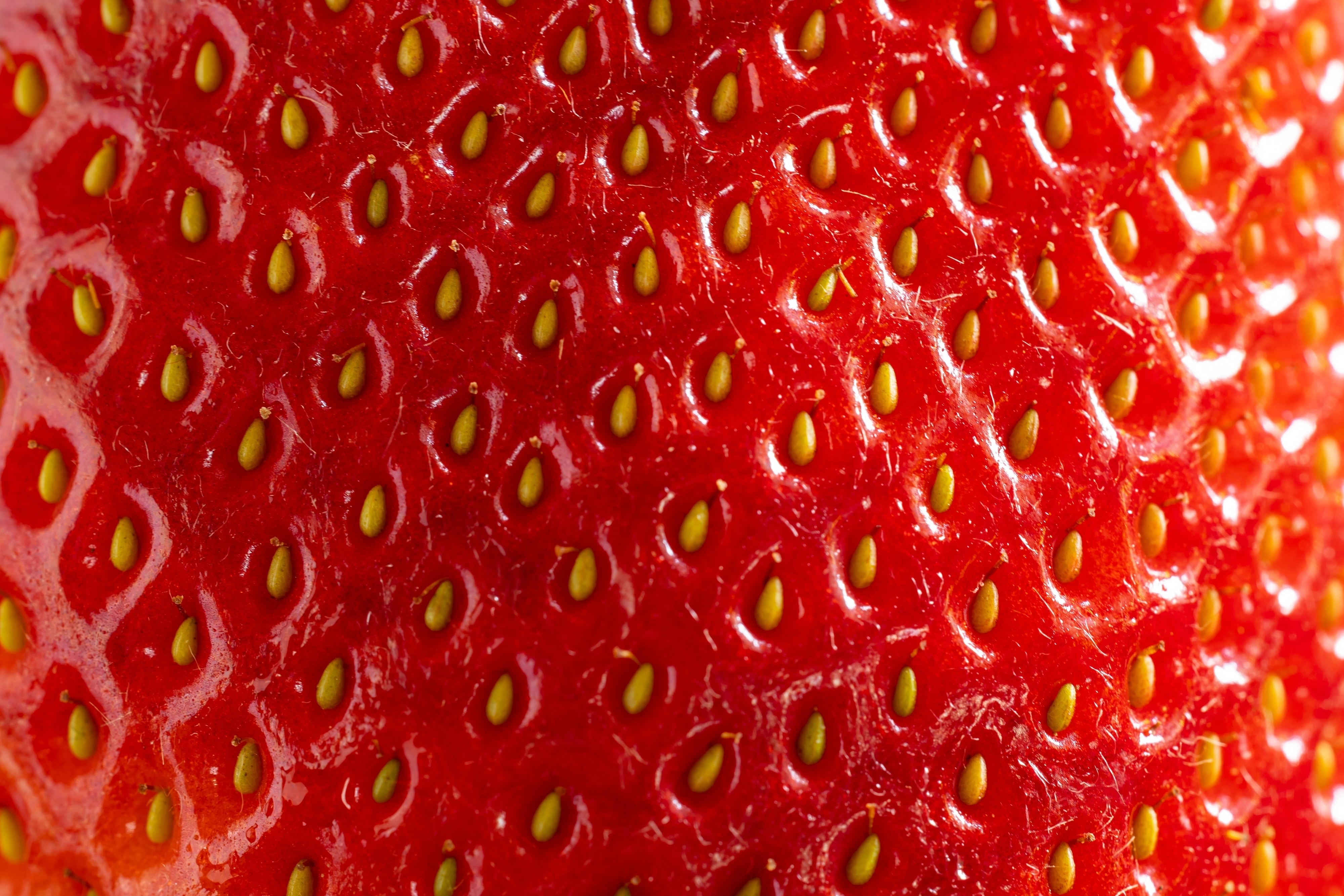 Close-up of a ripe strawberry with visible seeds.