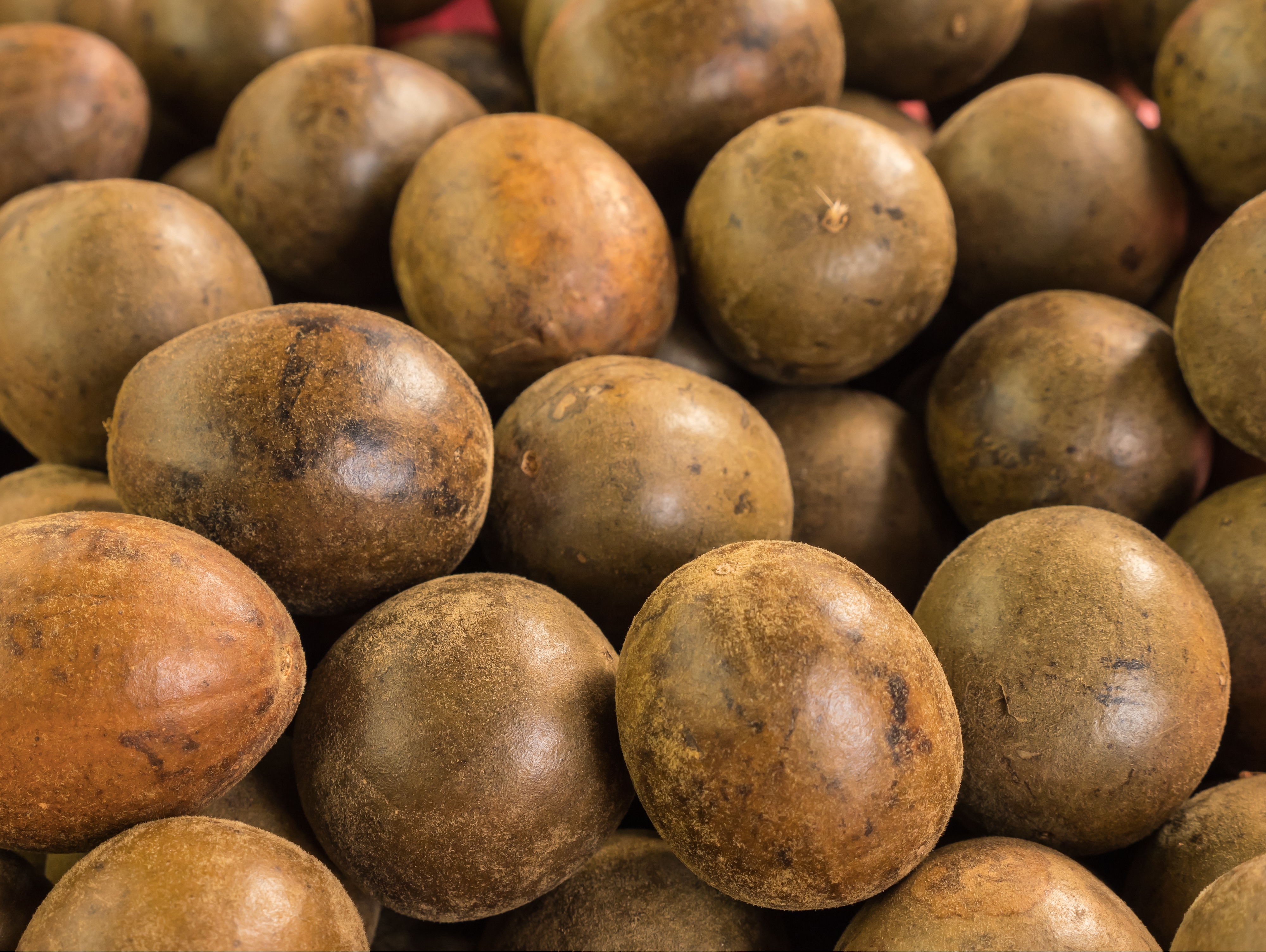 A close-up of numerous round, brown tropical fruits.