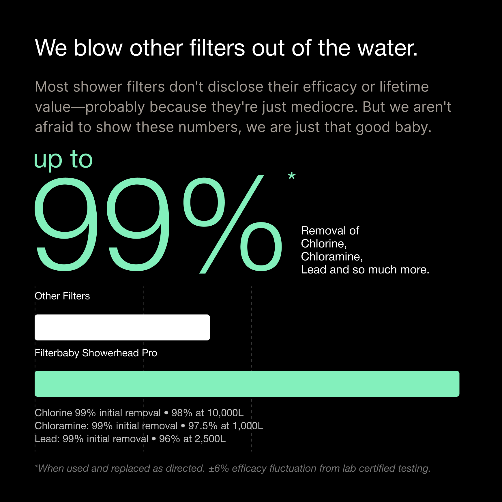 A single green leaf against a white background.