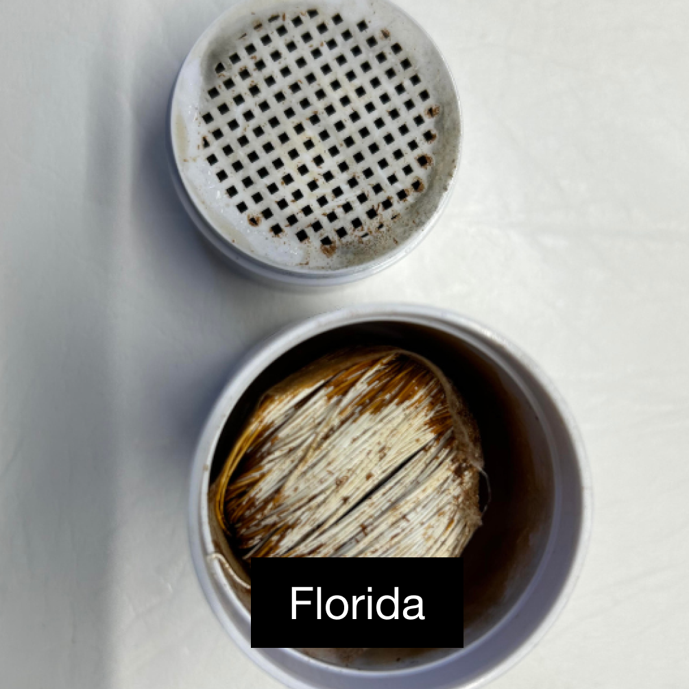 Alt-text: 'Round container with a grid lid and fibrous material inside.'