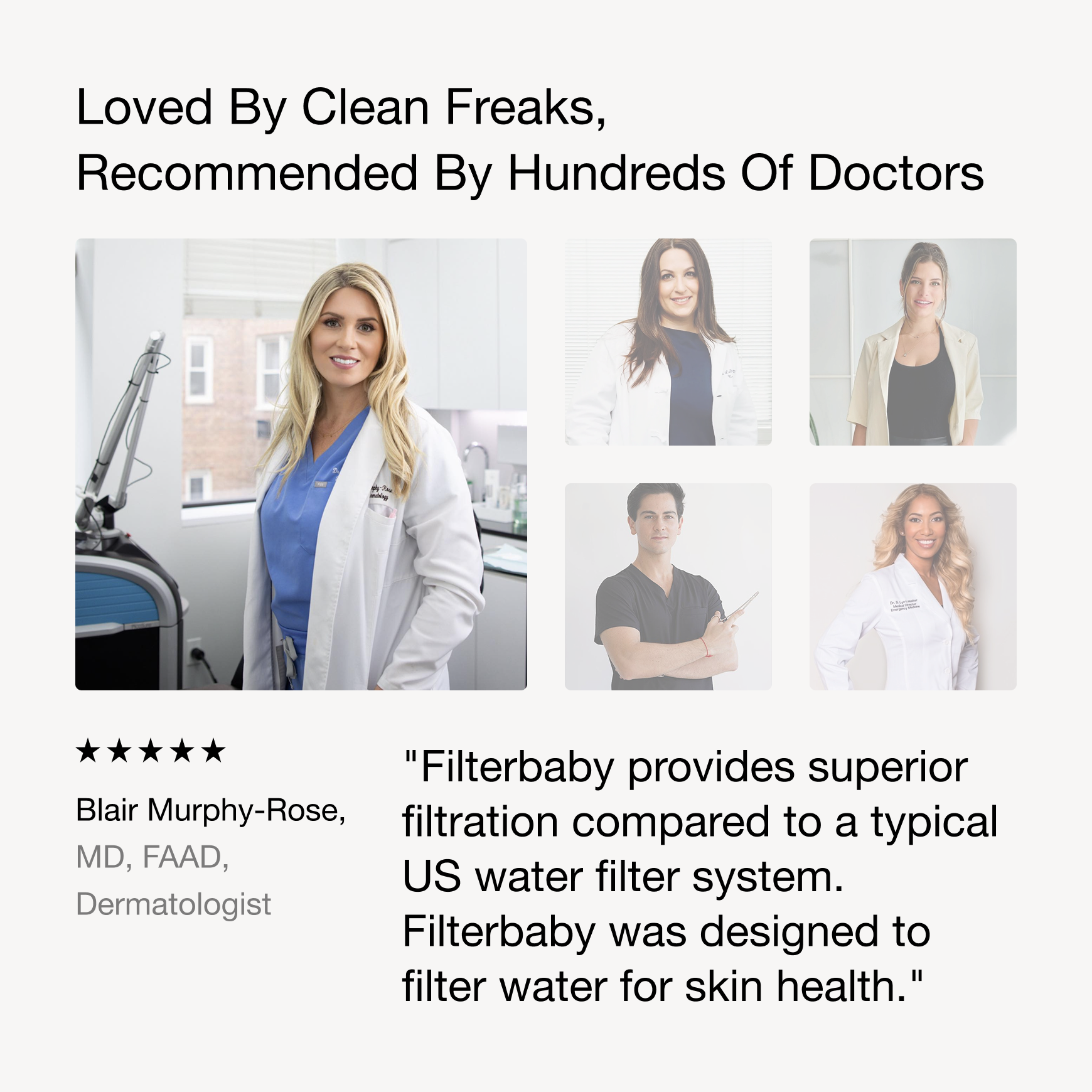 A single green leaf against a white background.