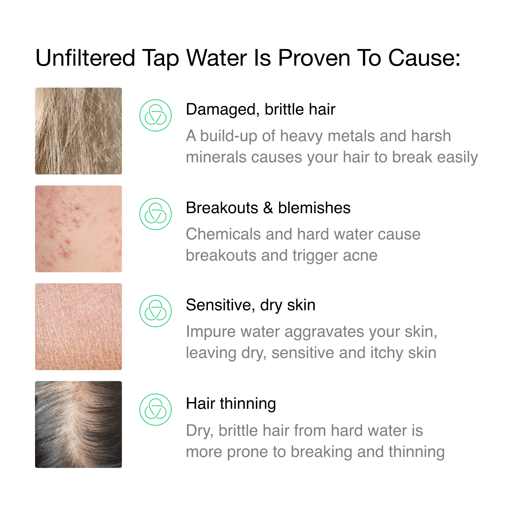 A single green leaf against a white background.