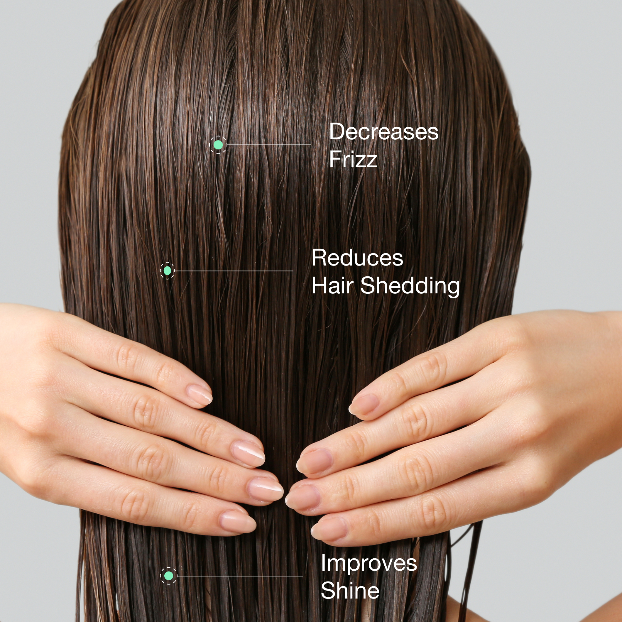 A single green leaf against a white background.